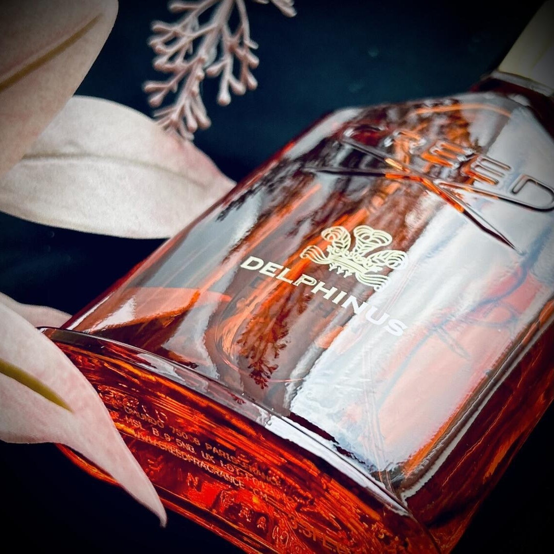 Delphinus 100ML